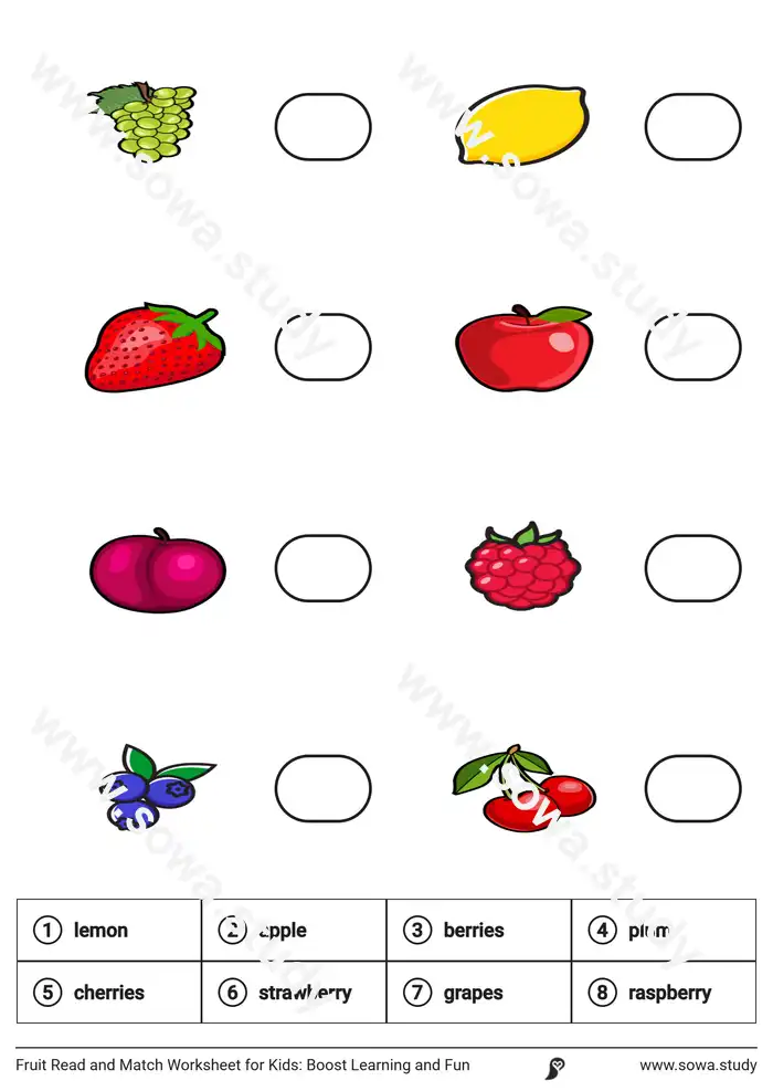 Fruit Read and Match Worksheet for Kids: Boost Learning and Fun Fruit Read and Match Worksheet for Kids: Boost Learning and Fun worksheet