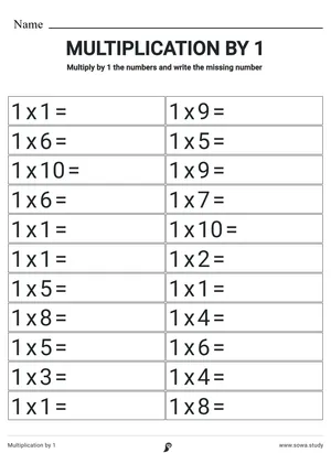 Multiplication by 1