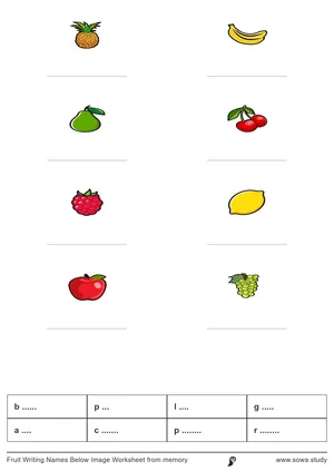 Fruit Writing Names Below Image Worksheet from memory 
