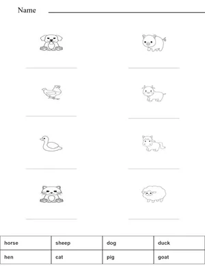Match the words with the pictures, farm animals