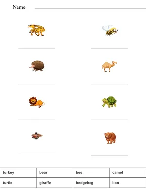 Match the words with the pictures - safari animals