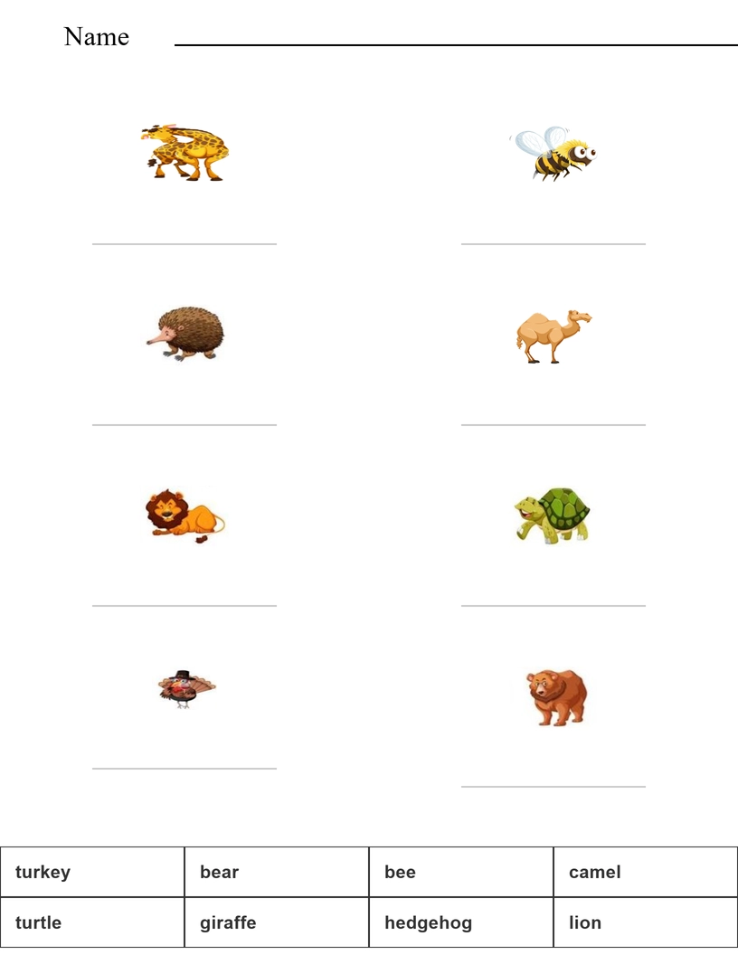 Match the words with the pictures - safari animals worksheet