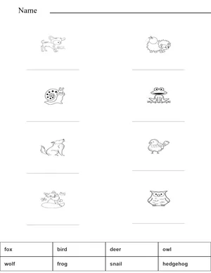Match the words with the pictures - woodland animals