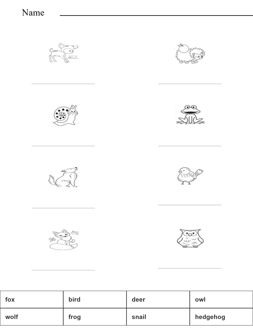 Match the words with the pictures - woodland animals worksheet