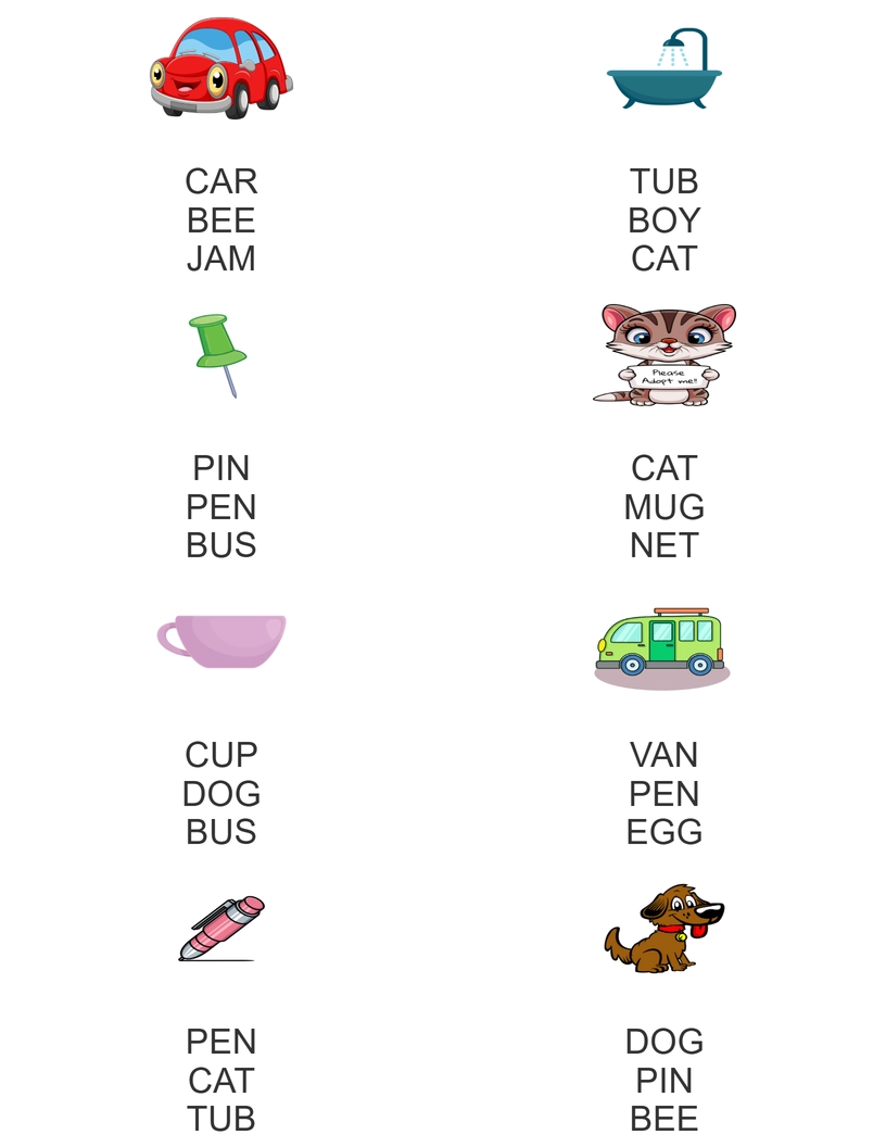 Match word with picture  worksheet