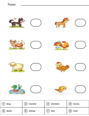 Read and match name of animals