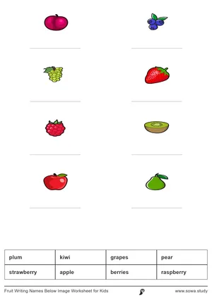 Fruit Writing Names Below Image Worksheet for Kids