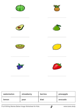 Fruit Writing Names Below Image Worksheet for Kids