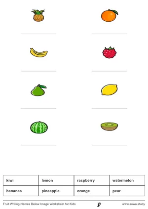 Fruit Writing Names Below Image Worksheet for Kids