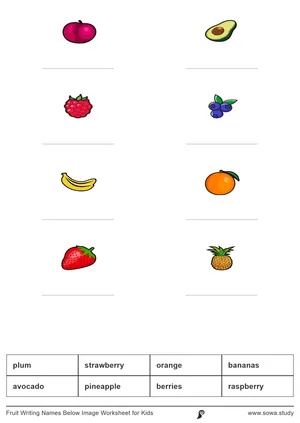 Fruit Writing Names Below Image Worksheet for Kids