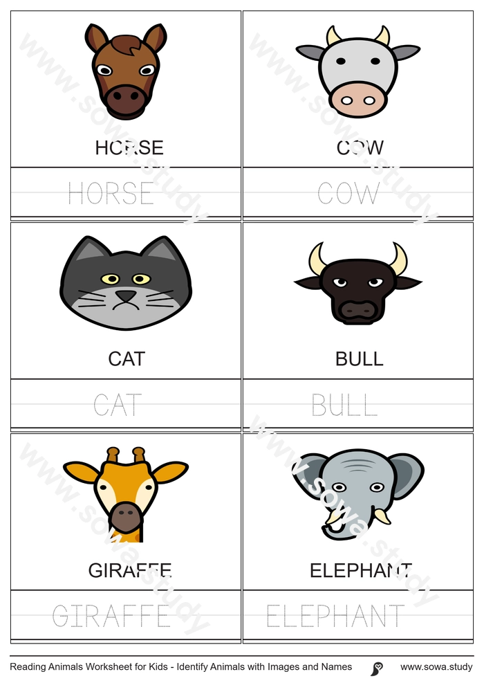 Reading Animals Worksheet for Kids - Identify Animals with Images and Names worksheet