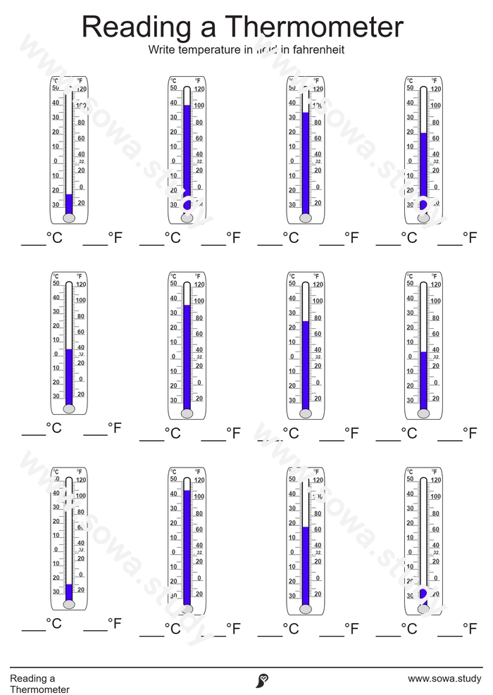 Reading a Thermometer worksheet