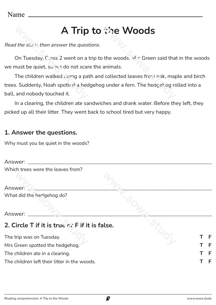 Reading comprehension: A Trip to the Woods – printable worksheet