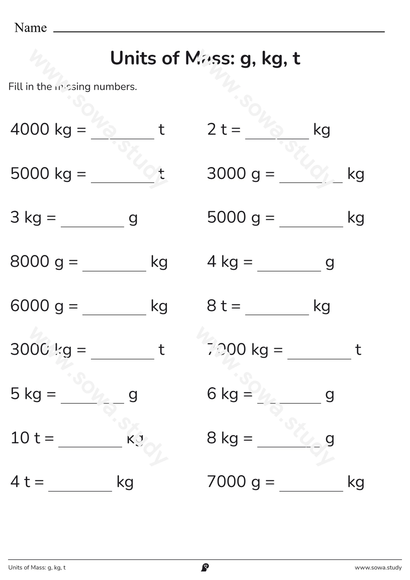 Units of Mass: g, kg, t – printable worksheet