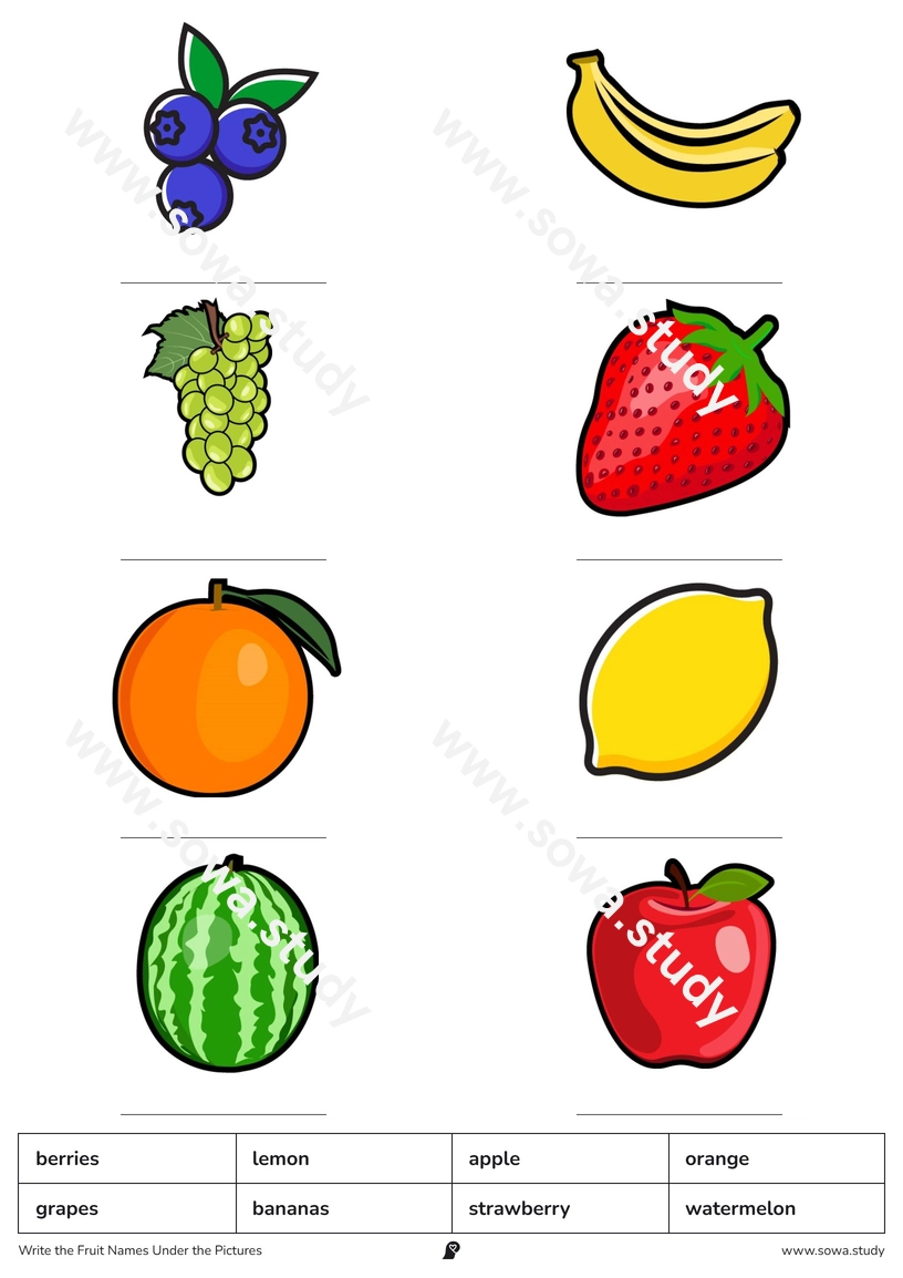 Write the Fruit Names Under the Pictures – printable worksheet